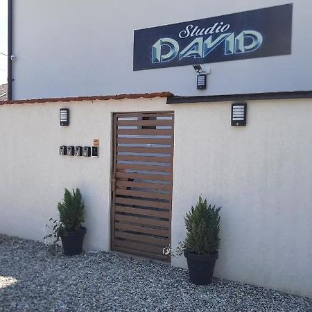 *Studio David* Sibiu Eksteriør bilde