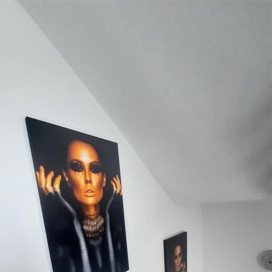 *Studio David* Sibiu Eksteriør bilde
