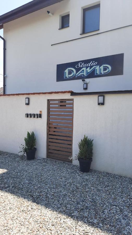 *Studio David* Sibiu Eksteriør bilde